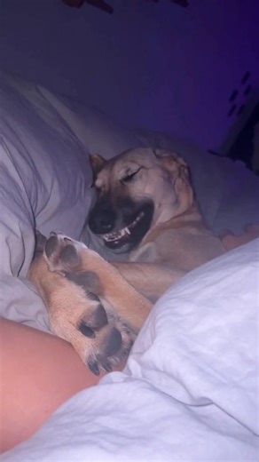 Mis amores codigo alien 👽🤣 | Isaac lopez pereez