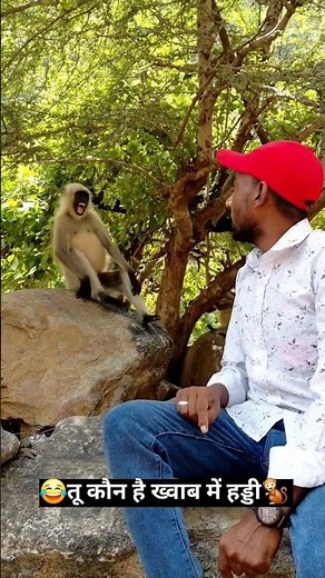 funny 🤣monkey comedy 🎥videos