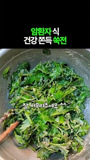 밀가루0% 쑥전 맛있게 만드는법☘️