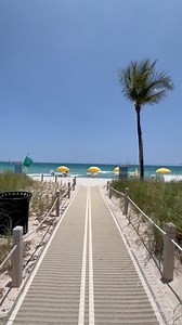 Bal Harbour Beach, Florida🌴 #florida #balharbour #miami #beach #visitmiami | Dorota Biendarra