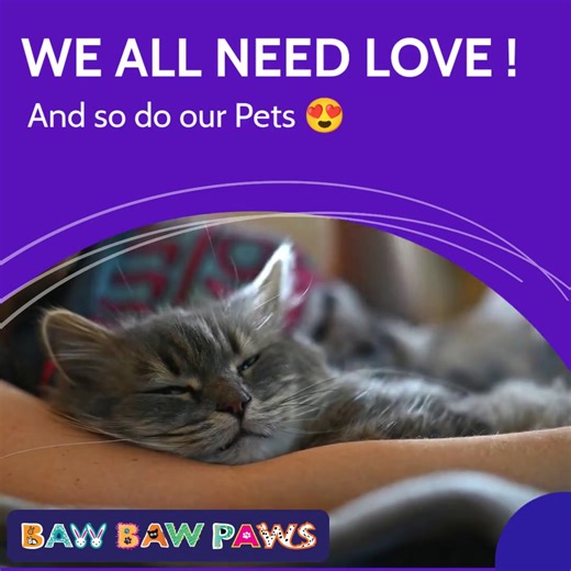 ❤️ We All Need Love… And So Do Our Pets! ❤️ At Baw Baw Paws Vet Clinic, every tail wag, purr, and paw receives gentle hands and happy hearts. From routine check-ups and vaccinations to surgeries, grooming, and urgent care, our team provides compassionate, expert care to keep your furry friends healthy, happy, and thriving. Where pets feel safe, happy, and loved😍 | Baw Baw Paws