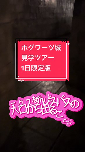 ホグワーツ城 見学ツアー1日限定版 | ユニバーサル・スタジオ・ジャパン