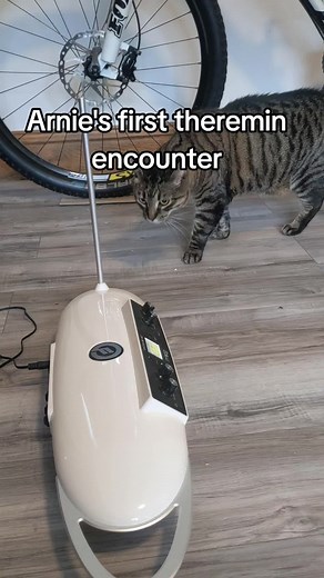 Arnie's First Theremin Encounter