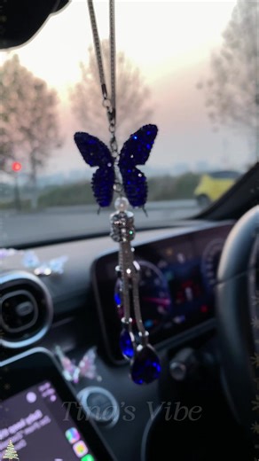 Stunning Car Decor Ideas in Royal Blue and Butterfly Theme