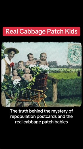 Real Cabbage Patch Kids - The truth behind the mystery of repopulation postcards and the real cabbage patch babies. In the early 1900s, a strange trend emerged in the form of postcards depicting surreal and unsettling scenes involving babies. These postcards, often referred to as “Repopulation Postcards” or “Cabbage Patch Postcards,” are a curious blend of early photo manipulation and bizarre imagery. They show babies being grown in cabbage patches, harvested from plants, hatched from eggs, or e