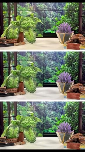 5.8K views · 26 reactions | #FijiOneNews | Want the latest news on the go? Scan the QR code on the screen to subscribe to our Viber page for all the latest in current affairs and sports news, whenever or wherever you are, Fiji One News got you covered! | Fiji One News | Facebook