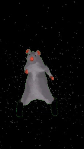 my pet rat