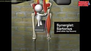 1.2M views · 2.9K shares | Vertical Leg-Hip Raise (FREE video) Get...