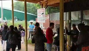 1.8K views · 100 reactions | THANKS TO CHINESE TOURIST FOR SUPPORTING...