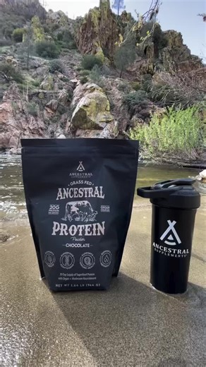 Fuel your next adventure with Ancestral Protein Powder ⛰️ 21g of protein in every scoop. No artificial sweeteners, no fillers — just pure, bioavailable nutrition that nourishes your body. Video credit: @the_carnivore_lifestyle