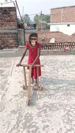 cycle cycle mere sonali cycle 😁 #funny #youtubeshorts #shorts