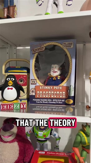 The Hidden Struggles of Toy Storage