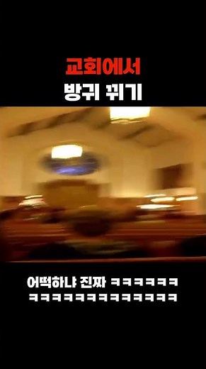 여자 방귀 소리 대박ㅋㅋㅋㅋㅋㅋ #웃긴영상 #웃긴 #웃긴짤 #웃긴동영상 #유머 #개그 #웃짤 #밈