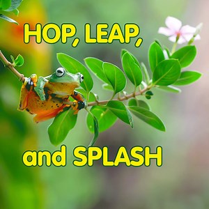 Introduce your young explorer to frogs of all sizes and colors with this board book packed with delightful photos and facts! | National Geographic Books