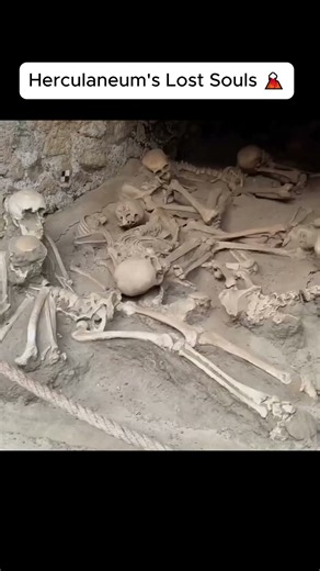 What Really Happened to Herculaneum's People?
