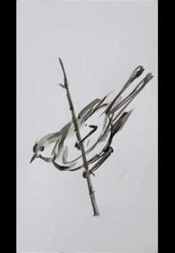 How to Use Watercolour for Nature Bird Sketching