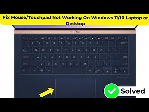 Fix Mouse/Touchpad Not Working On Windows 11/10 Laptop or Desktop