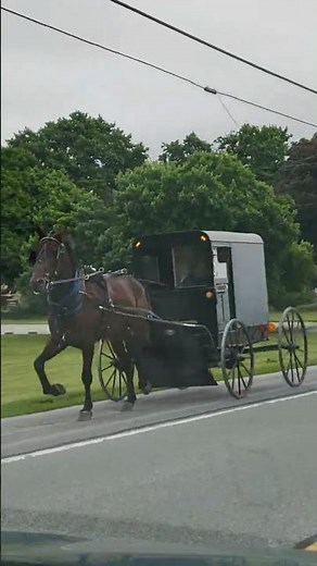 🇺🇸 The Amish way is nothing like modern life | Pennsylvania Amish Country #shorts