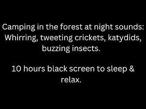 Camping in forest sounds: crickets, katydids, other insects black screen sleep 10 hour cricket sound