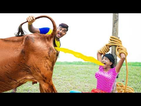Trending Very Special Funny Comedy Video 😂Amazing Comedy Video 2026 Episode 601 Bidik Fun Tv