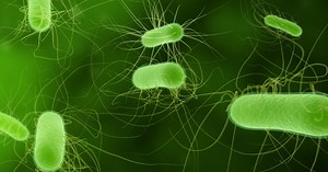 Diarrhoea - Mind The Bleep