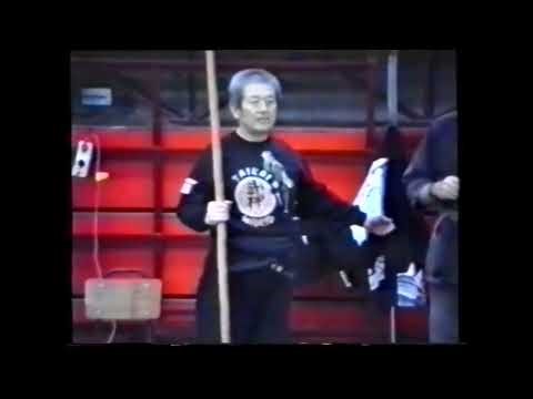 Taikai Madrid 1993 bojutsu Masaaki Hatsumi Bujinkan Soke