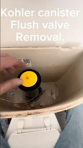 Kohler Toilet Won’t Stop Running – Easy Fix!!!