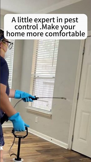 DIY Pest Control: A Guide to Eradicating Roaches#pestcontrol #diy #roaches #insects