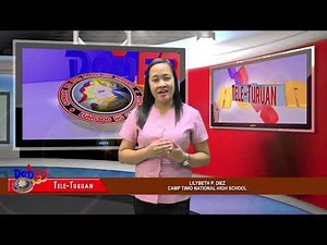 Grade 10 English Claims of fact, values and policy Lilybeth Diez