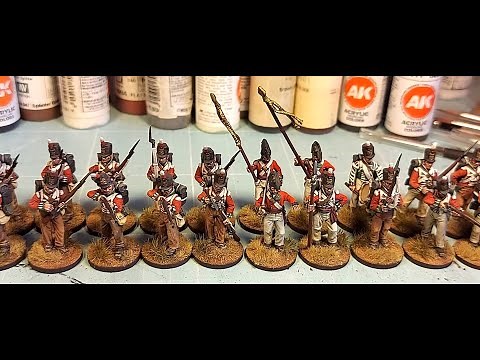 Perry British Napoleonic Infantry | Full Box Painted | 28mm Peninsular War