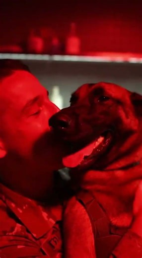 I filmed their reunion in a military darkroom. So emotional 😭🐾