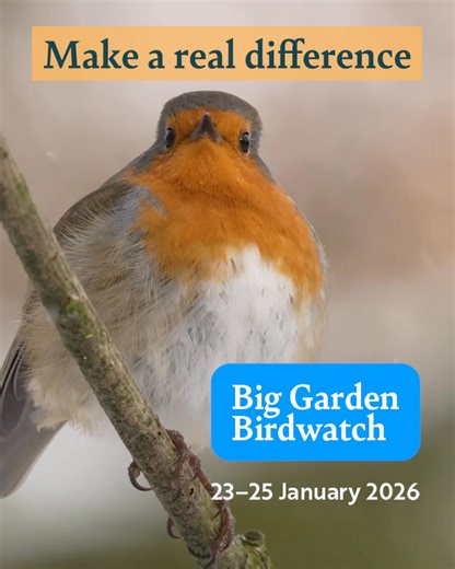 Time’s running out to join the 2026 Big Garden Birdwatch. Sign up today and be part of the UK’s biggest wildlife survey. | RSPB