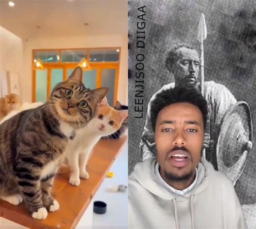 #duet with @Ethio Matrix