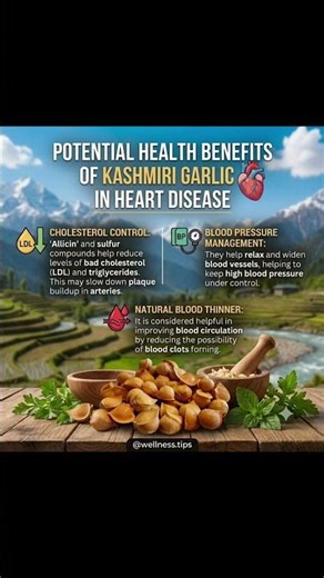 ❤️ Can Kashmiri Garlic (Snow Mountain Garlic) Support Heart Health?