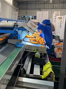 Trabajos de empacadores en fábrica 2026: guía y búsqueda