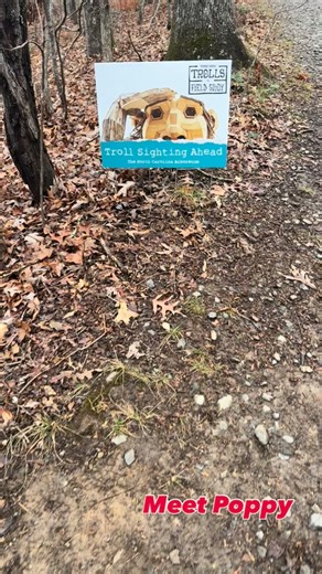 琉 Meet Poppy: The Troll Who Studies Human Creativity ✨ After...