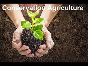 Conservation Agriculture