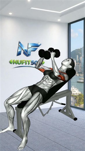 5 Best Exercises for a Bigger, Defined Chest (3D Muscle Guide) #legday #sports #chestday #motivation