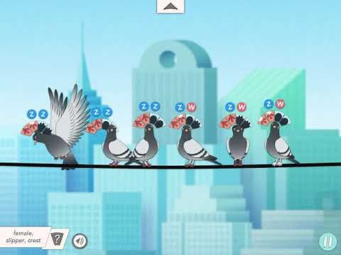 Pigeonetics Walkthrough Levels 6-10