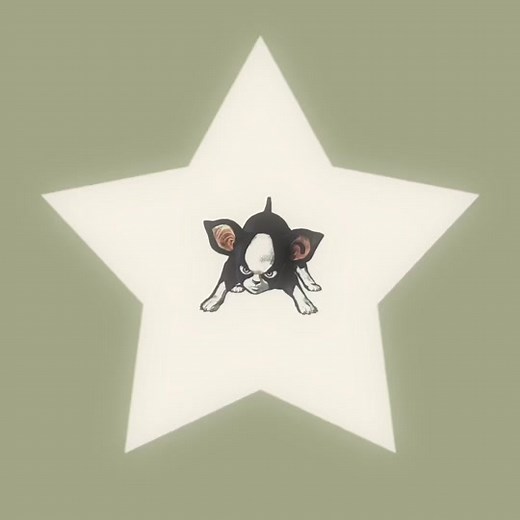 Cute Moments from Jojo's Bizarre Adventure | Funny Compilation