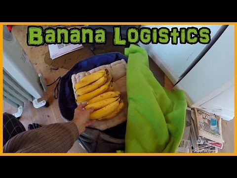 BANANA RIPENING TIPS: HOW TO SLOW DOWN OR SPEED UP THE PROCESS