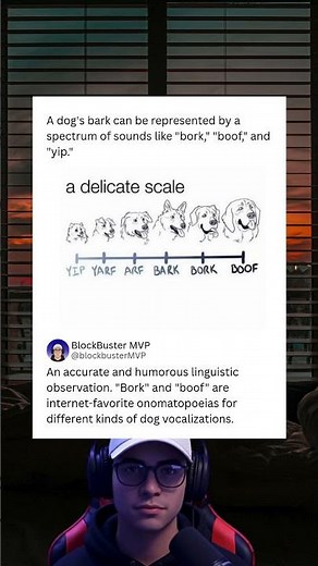 The Linguistics of Dog Barks: Bork, Boof, and Yip