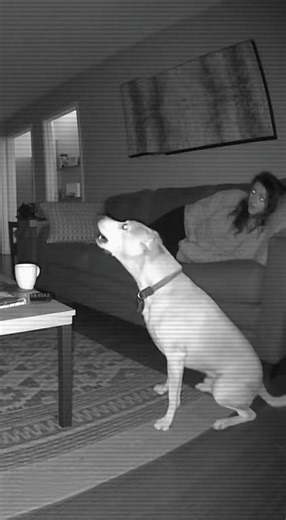 Creepy 3 AM Home Security Camera Footage