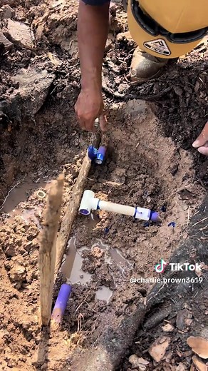 charlie brown (@charlie.brown3619)’s videos with original sound - charlie brown