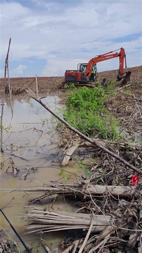 my land #mamcingliar #mancingmania