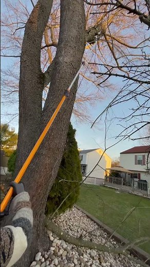 Fiskars 16 - ft manual pole saw!