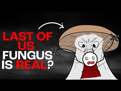 The Last of Us Fungus Is Real? — Zombie Ants Cordyceps Educational Video | K12
