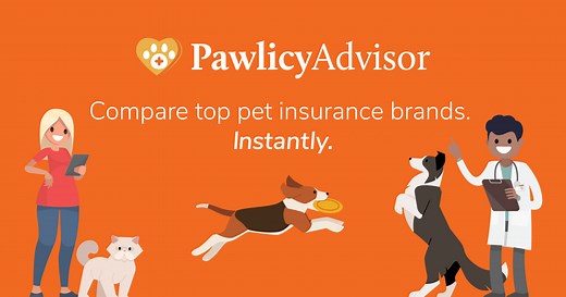 Lemonade Pet Insurance Review 2025 | Compare Costs, Coverage, & Ratings