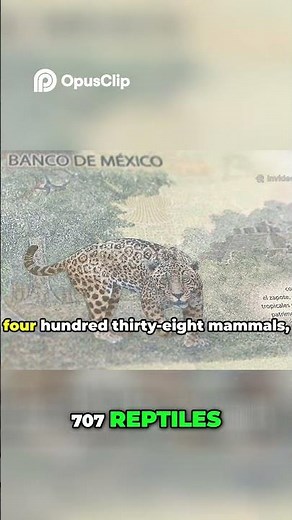 Mexico's Biodiversity Amazing Species & Protected Zones!#MexicanBiodiversity #WildlifeMexico