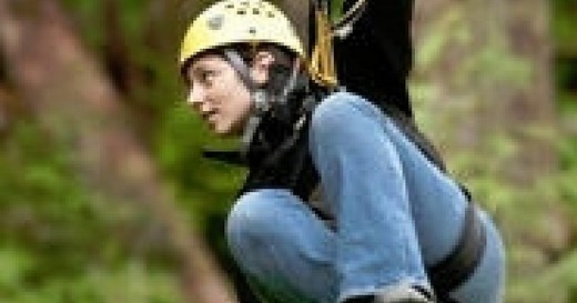 Denali Zipline | Talkeetna Adventure Tours